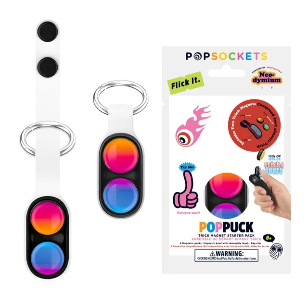 Pop puck fidget key chain