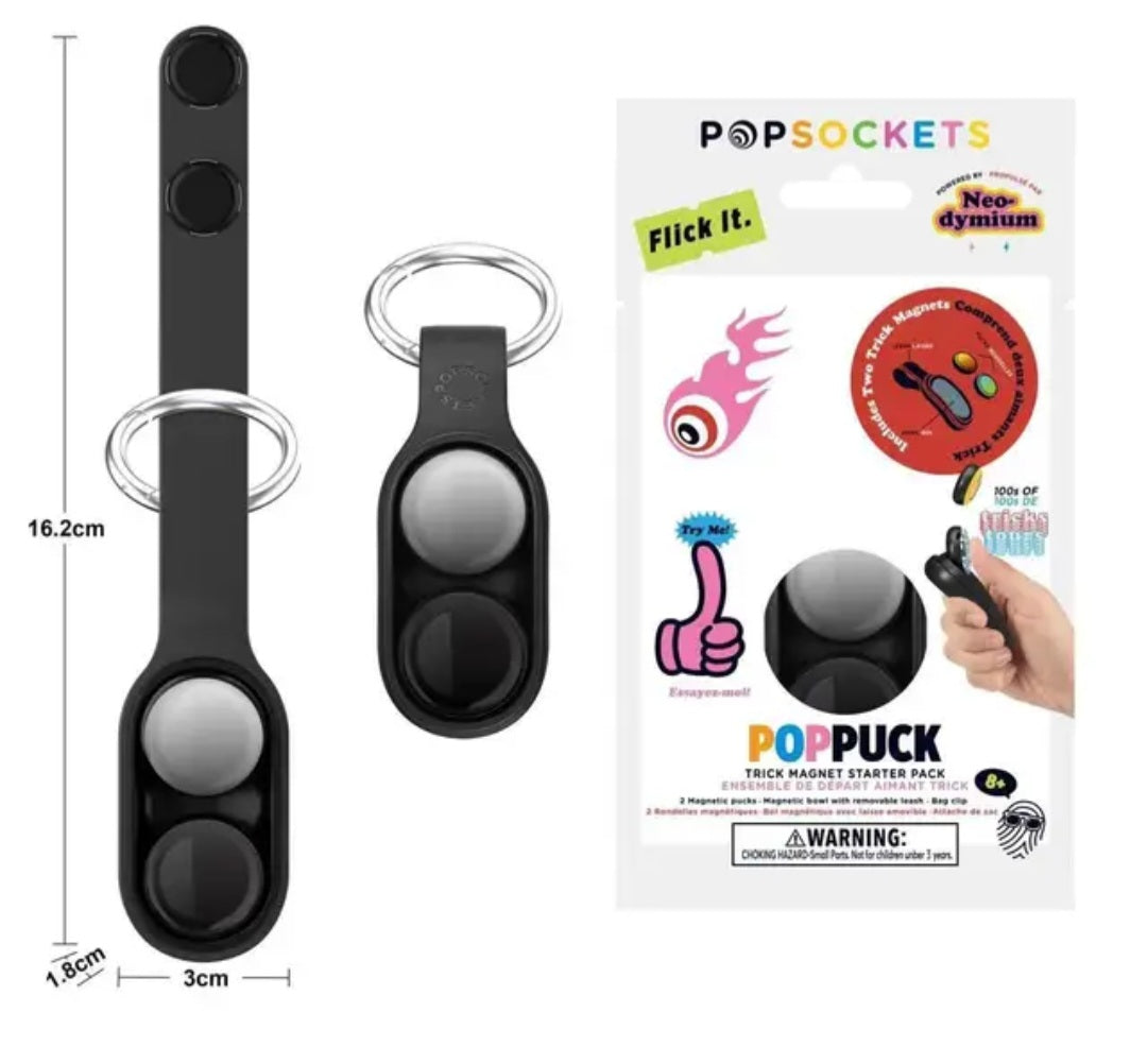 Pop puck fidget key chain