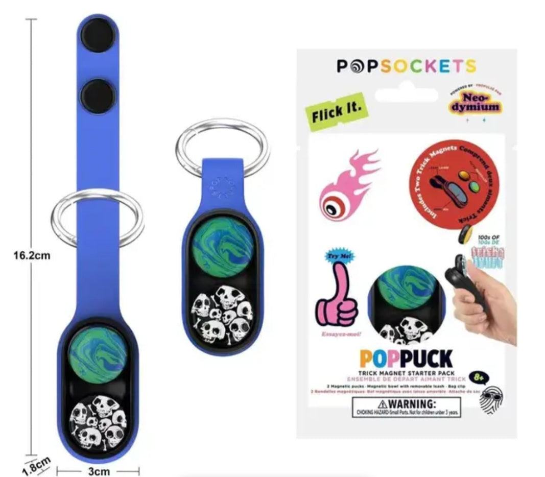 Pop puck fidget key chain